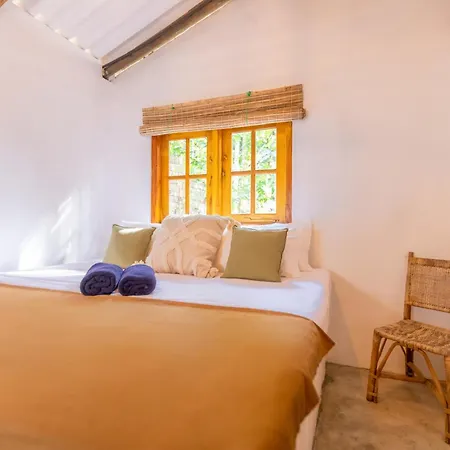 Coconut Cabin - Hiriketiya Beach Dikwella Extérieur photo