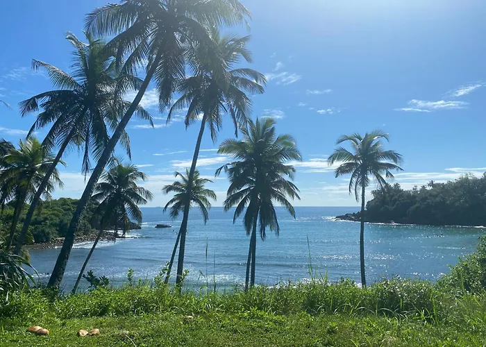 Coconut Cabin - Hiriketiya Beach