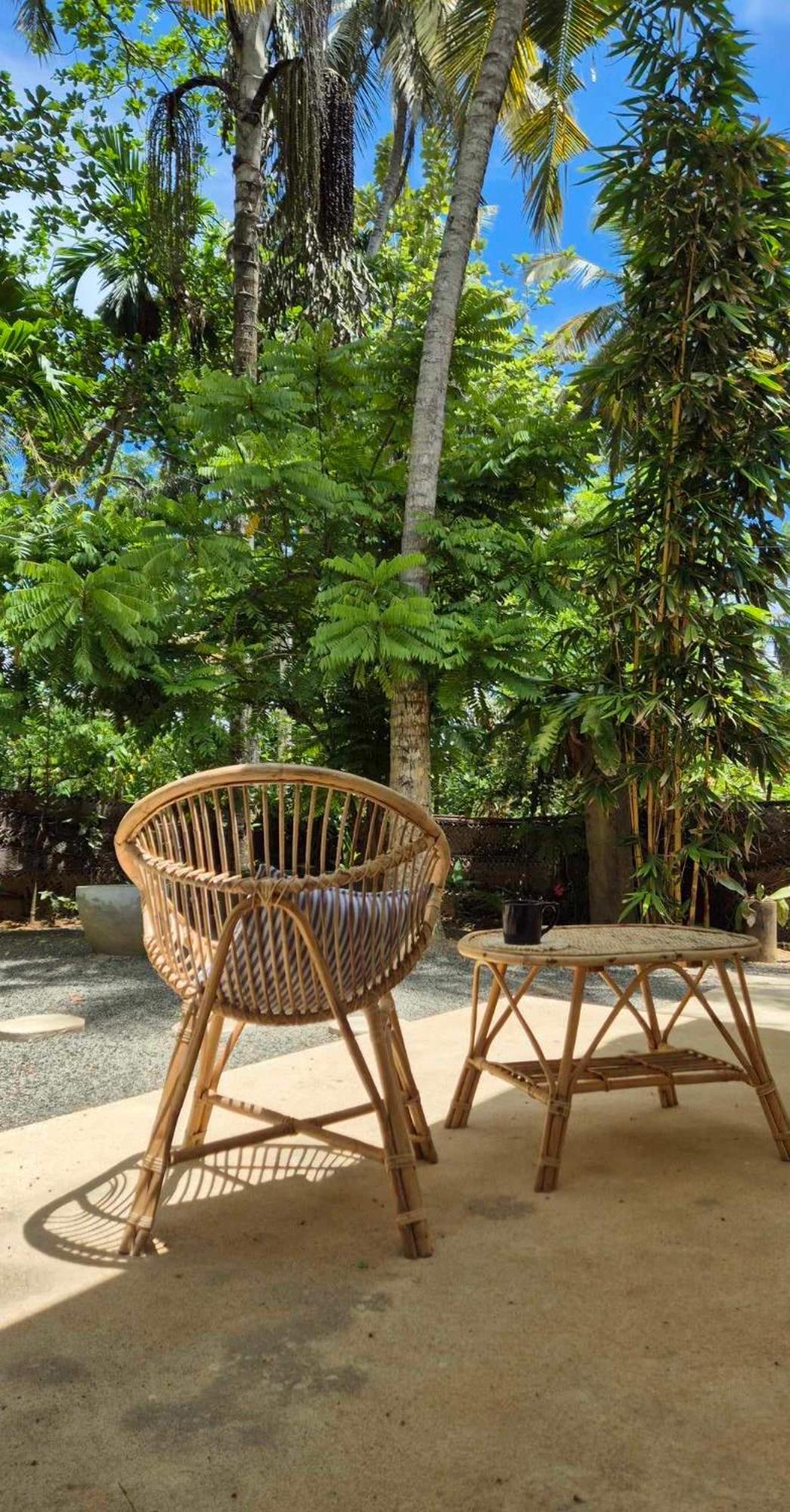 Coconut - Hiriketiya Hébergement de vacances *